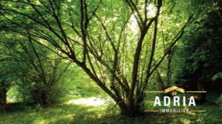 Ma-Cabane - Vente Appartement - ST GERMAIN EN LAYE, 114 m²