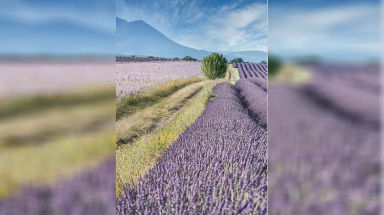 Ma-Cabane - Vente Appartement AIX EN PROVENCE, 60 m²