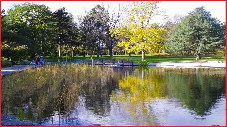 Ma-Cabane - Vente Appartement AMBILLY, 63 m²