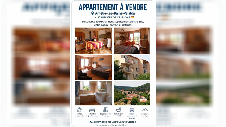 Ma-Cabane - Vente Appartement Amélie-les-Bains-Palalda, 28 m²