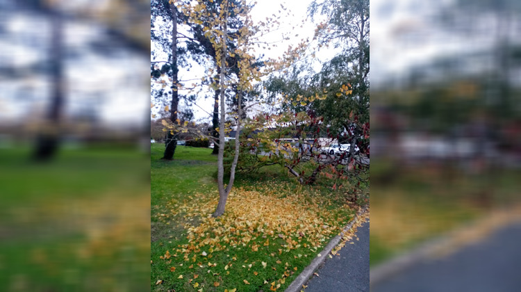 Ma-Cabane - Vente Appartement Angers, 31 m²