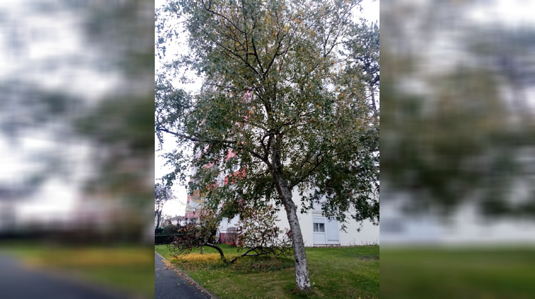 Ma-Cabane - Vente Appartement Angers, 31 m²