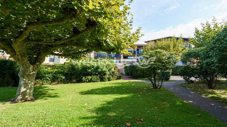 Ma-Cabane - Vente Appartement Anglet, 23 m²