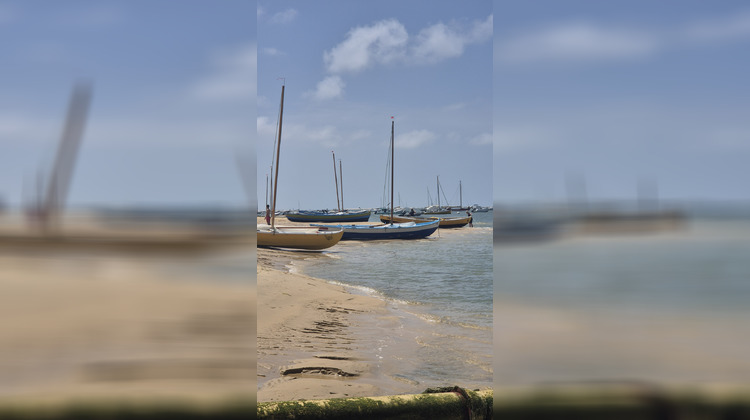 Ma-Cabane - Vente Appartement Arcachon, 40 m²