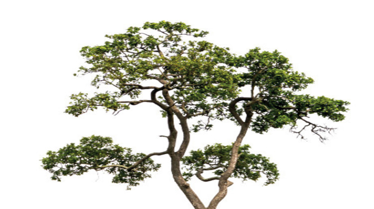 Ma-Cabane - Vente Appartement Ars-sur-Moselle, 44 m²