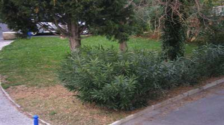 Ma-Cabane - Vente Appartement BALARUC LES BAINS, 42 m²