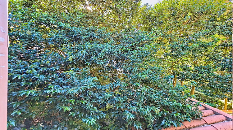 Ma-Cabane - Vente Appartement Bedarieux, 33 m²