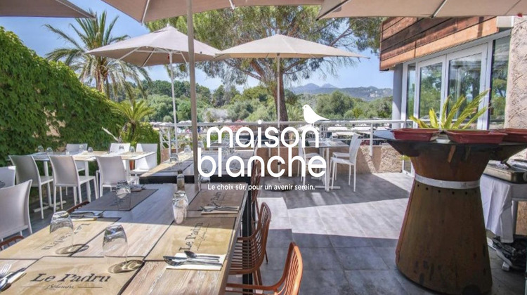 Ma-Cabane - Vente Appartement Belgodère, 16 m²