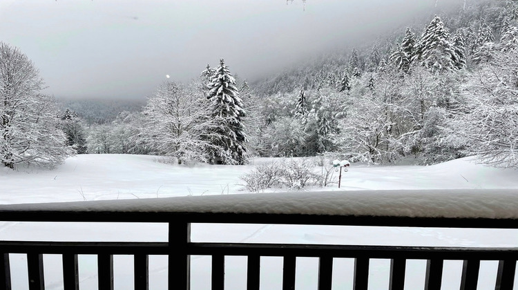 Ma-Cabane - Vente Appartement BELLEVAUX, 21 m²