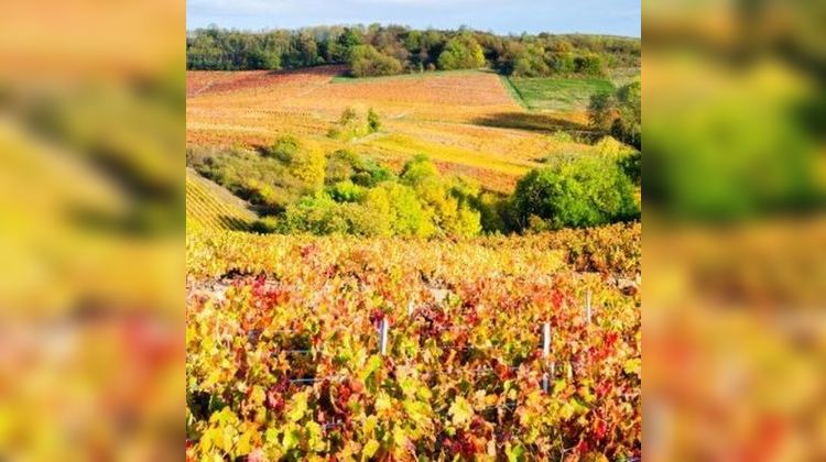 Ma-Cabane - Vente Appartement BELLEVILLE, 62 m²