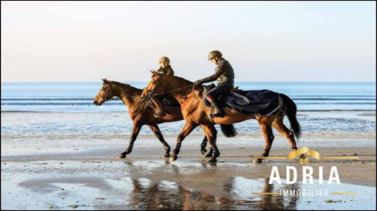 Ma-Cabane - Vente Appartement BENERVILLE-SUR-MER(), 44 m²