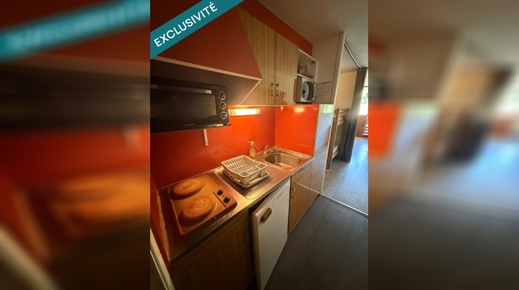 Ma-Cabane - Vente Appartement Besse-Et-Saint-Anastaise, 24 m²