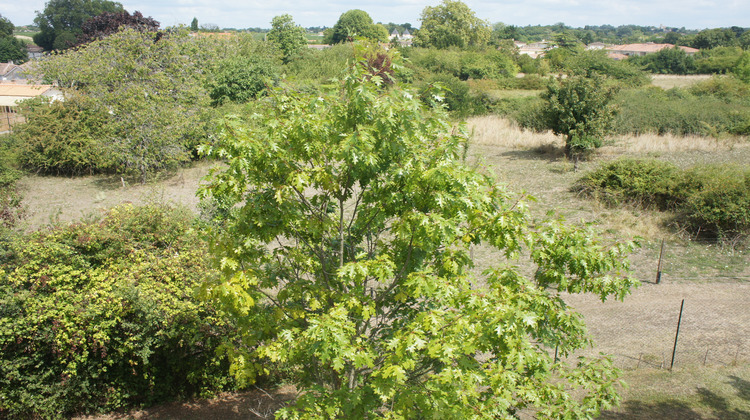 Ma-Cabane - Vente Appartement Blaye, 42 m²