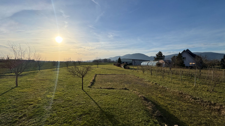 Ma-Cabane - Vente Appartement BOLLWILLER, 83 m²