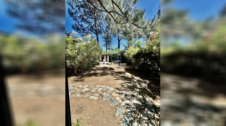 Ma-Cabane - Vente Appartement Borgo, 33 m²