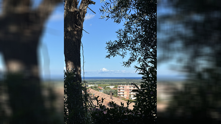 Ma-Cabane - Vente Appartement Borgo, 100 m²