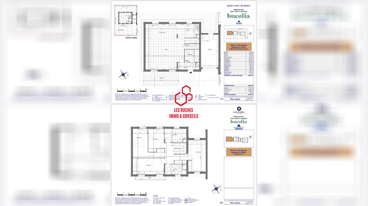 Ma-Cabane - Vente Appartement Bussy-Saint-Georges, 165 m²