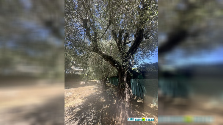 Ma-Cabane - Vente Appartement Cagnes-sur-Mer, 57 m²