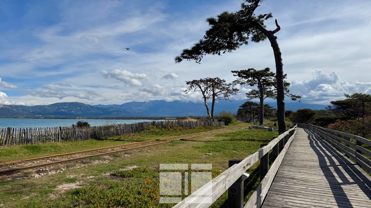 Ma-Cabane - Vente Appartement Calvi, 65 m²