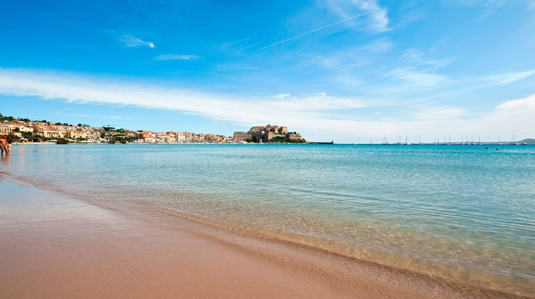 Ma-Cabane - Vente Appartement Calvi, 43 m²