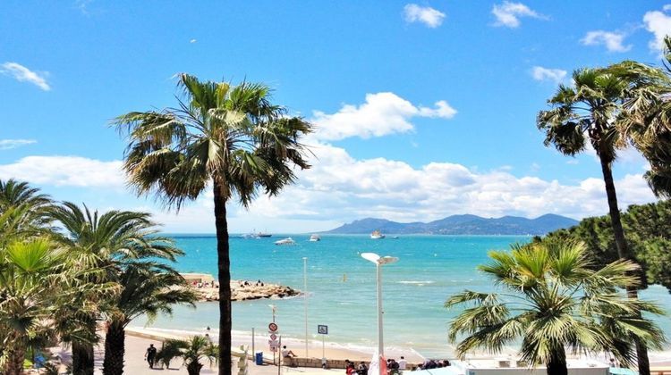 Ma-Cabane - Vente Appartement Cannes, 24 m²