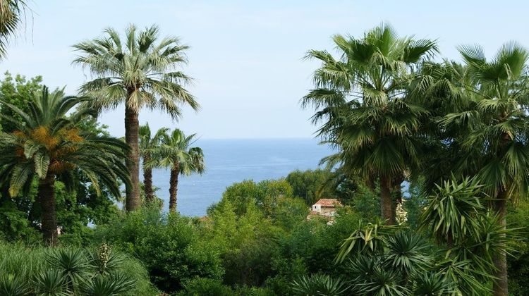 Ma-Cabane - Vente Appartement Cannes, 111 m²