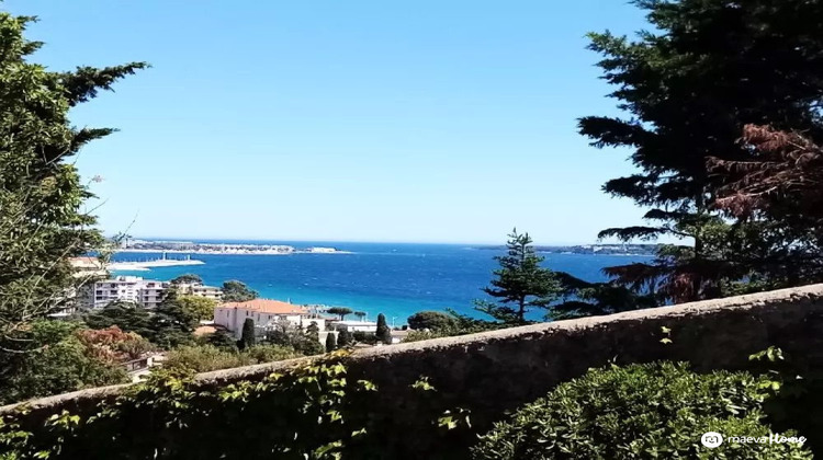 Ma-Cabane - Vente Appartement Cannes, 37 m²