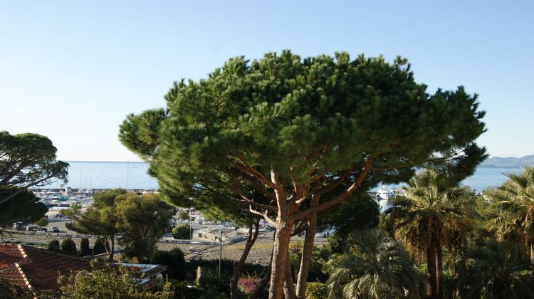 Ma-Cabane - Vente Appartement Cap d'Antibes, 77 m²