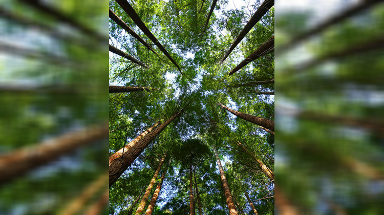 Ma-Cabane - Vente Appartement Capbreton, 98 m²