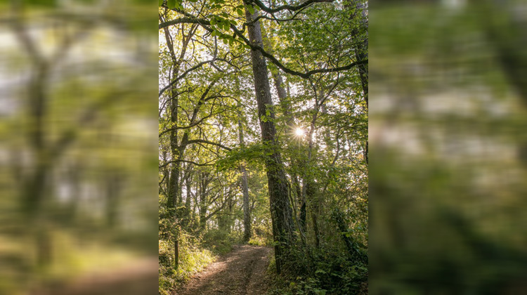 Ma-Cabane - Vente Appartement Castets, 81 m²