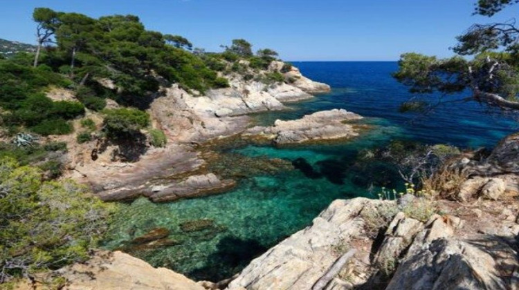 Ma-Cabane - Vente Appartement Cavalaire-sur-Mer, 50 m²