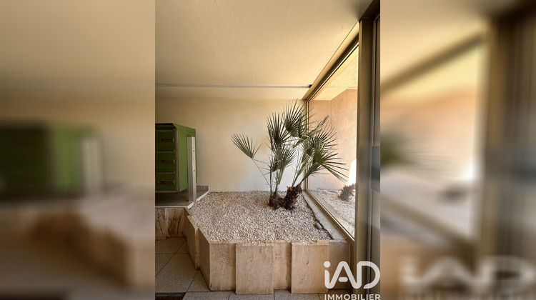 Ma-Cabane - Vente Appartement Cavalaire-sur-Mer, 30 m²