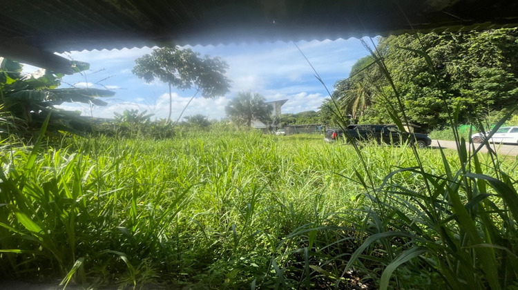 Ma-Cabane - Vente Appartement CAYENNE, 275 m²