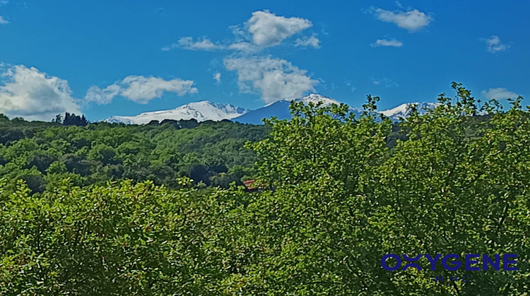 Ma-Cabane - Vente Appartement Céret, 128 m²