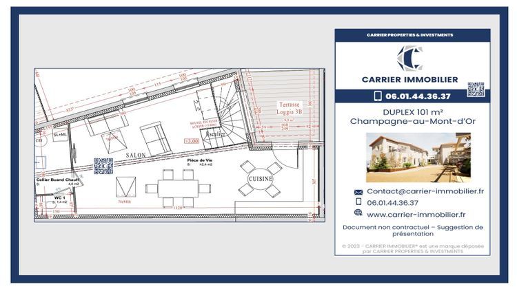 Ma-Cabane - Vente Appartement Champagne-au-Mont-d'Or, 101 m²