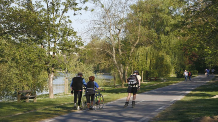 Ma-Cabane - Vente Appartement Chapelle des fougeretz, 61 m²