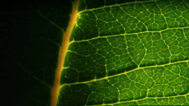 Ma-Cabane - Vente Appartement Chapelle des fougeretz, 61 m²