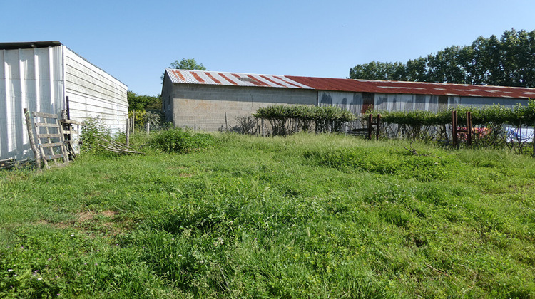 Ma-Cabane - Vente Appartement CHAUVE, 66 m²