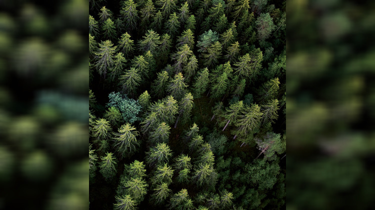 Ma-Cabane - Vente Appartement Cluses, 65 m²