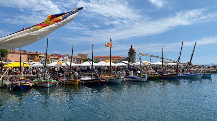 Ma-Cabane - Vente Appartement Collioure, 45 m²