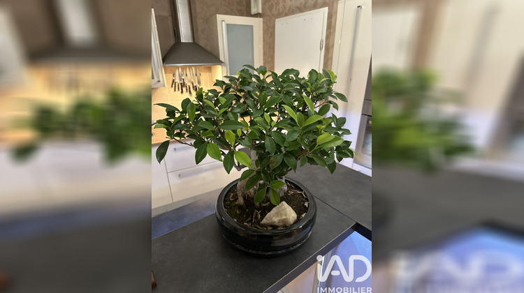 Ma-Cabane - Vente Appartement Déville-Lès-Rouen, 69 m²