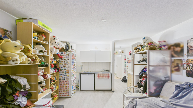 Ma-Cabane - Vente Appartement Erstein, 33 m²