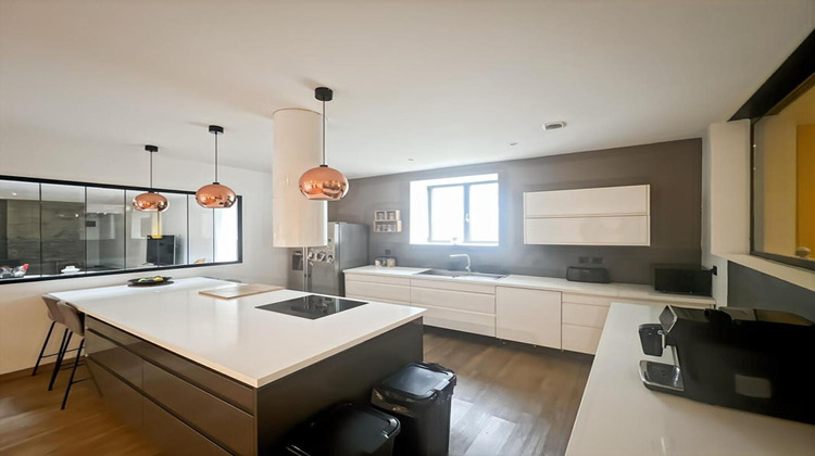 Ma-Cabane - Vente Appartement FACHES THUMESNIL, 345 m²