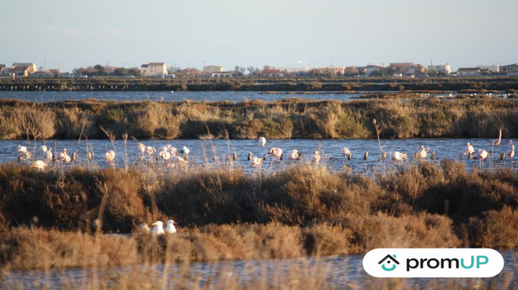 Ma-Cabane - Vente Appartement Frontignan, 31 m²
