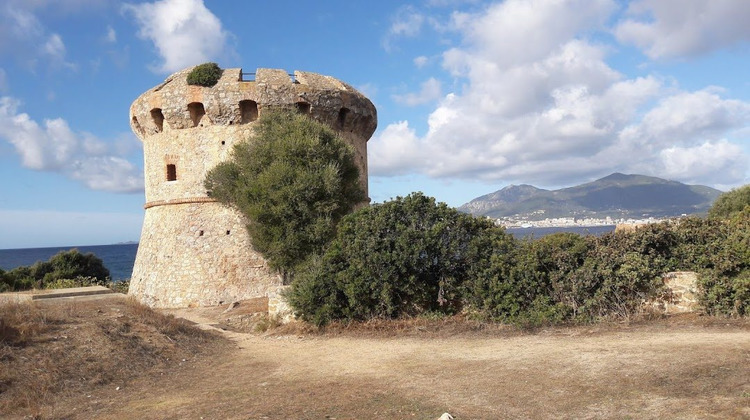 Ma-Cabane - Vente Appartement Grosseto-Prugna, 45 m²