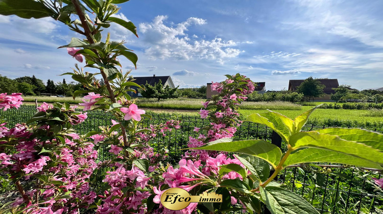 Ma-Cabane - Vente Appartement Hésingue, 43 m²