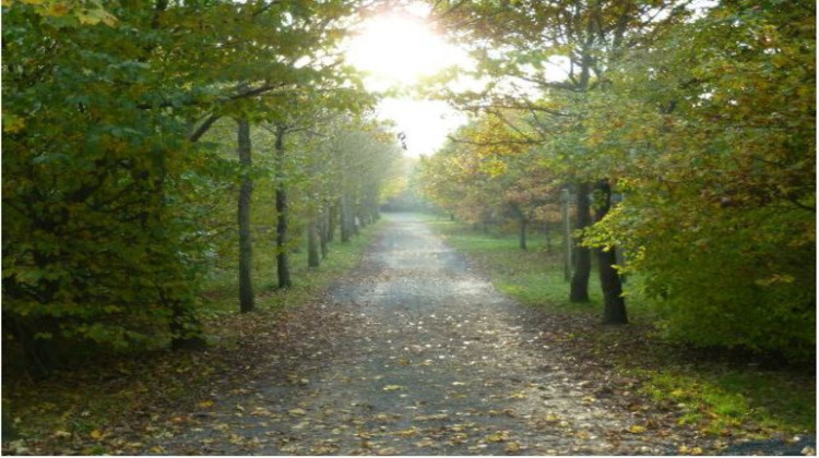 Ma-Cabane - Vente Appartement Ifs, 81 m²