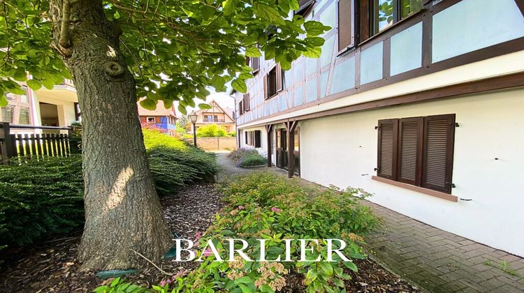 Ma-Cabane - Vente Appartement Ittenheim, 33 m²