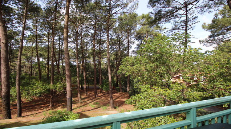 Ma-Cabane - Vente Appartement LACANAU, 36 m²