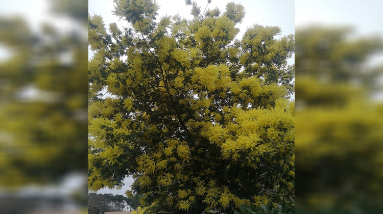 Ma-Cabane - Vente Appartement Lanton, 52 m²